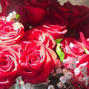 Meet your Posher, Abigail